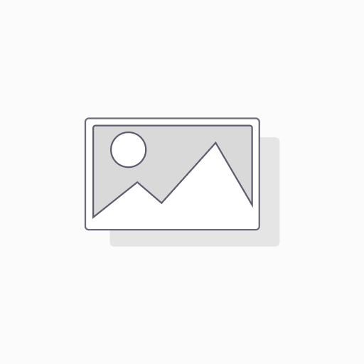 Mint Picked 150gm