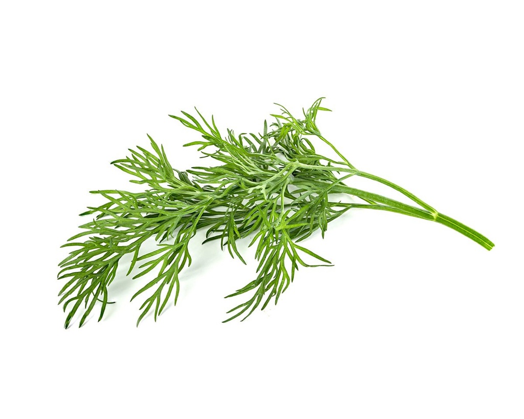 Dill Picked kg
