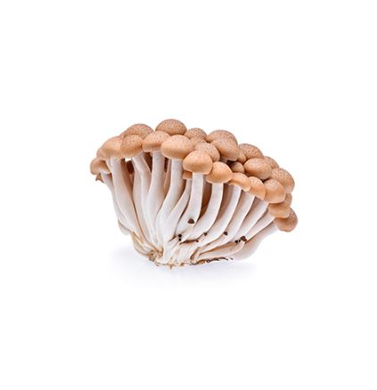 Mushrooms Brown Shimeji pkt